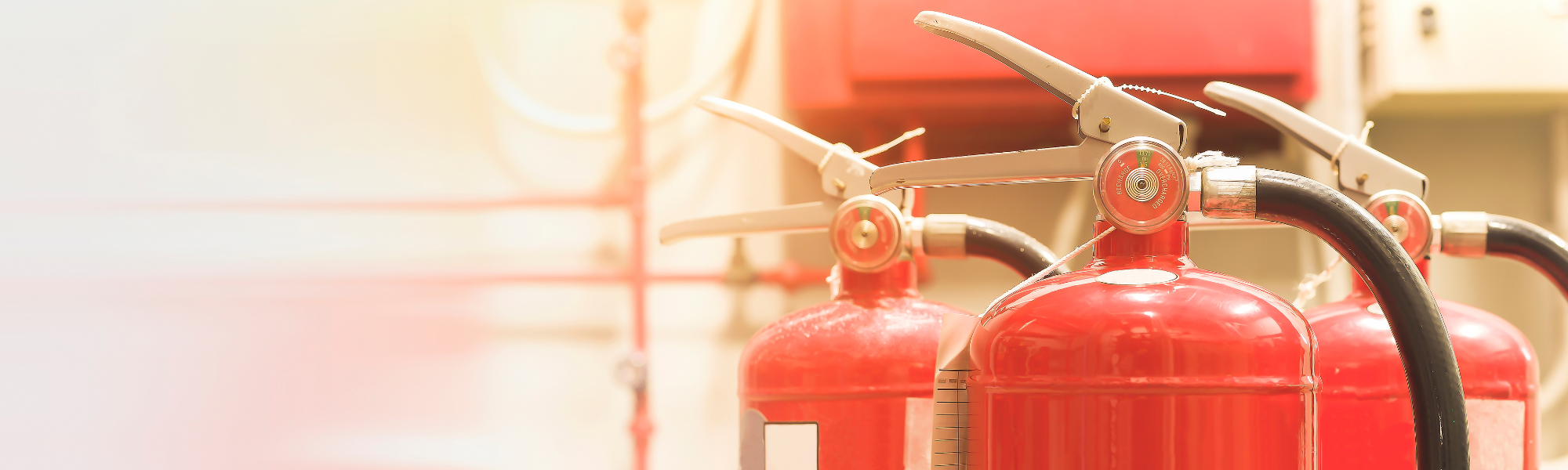 Professional Fire Auditors: Choosing the Right Experts for Your Business